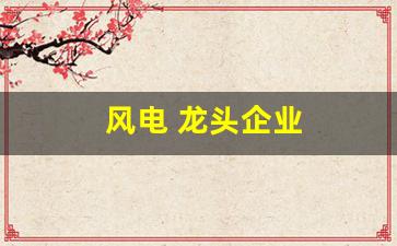 风电 龙头企业(风电龙头企业)_https://www.wanyuyiyao.com_上交所_第1张